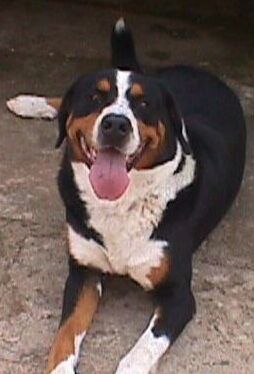 Uno más, y a la final